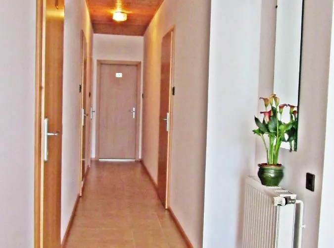 Zsuzsa Panzio Bed & Breakfast Balatonfured